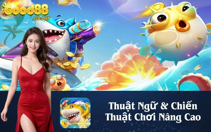 Thuật Ngữ & Chiến Thuật Chơi Nâng Cao